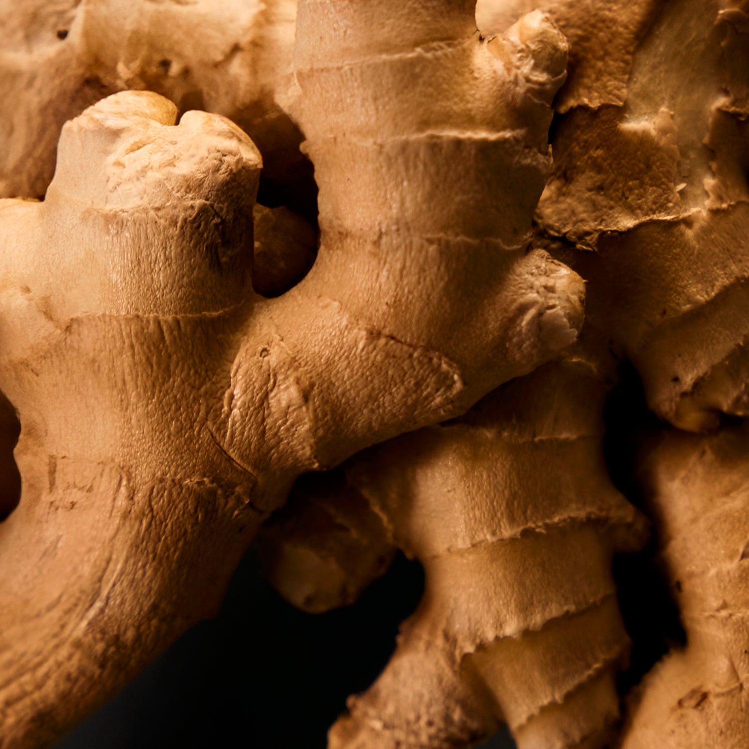 Macro shot of a ginger root, showing its fibrous and knotted texture in warm lighting.